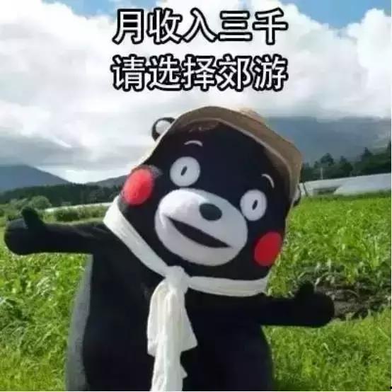 瑞奇热维斯表情包,笑出腹肌的幽默瞬间 第3张 瑞奇热维斯表情包,笑出腹肌的幽默瞬间 第3张