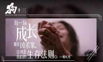 狗十三花絮,幕后趣事与感人瞬间