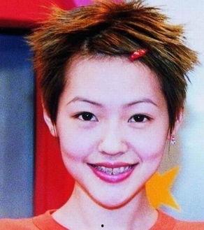 娱乐圈谁整容了,揭秘明星整形真相