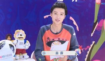 苗霖的资料,探寻艺术与生活的交融之道  第3张