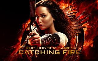 饥饿游戏 背景,揭秘饥饿游戏的残酷生存法则  第2张